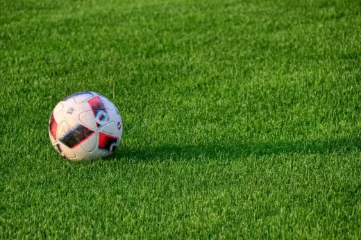Leadership in The Game: Understanding Bundesliga Managers